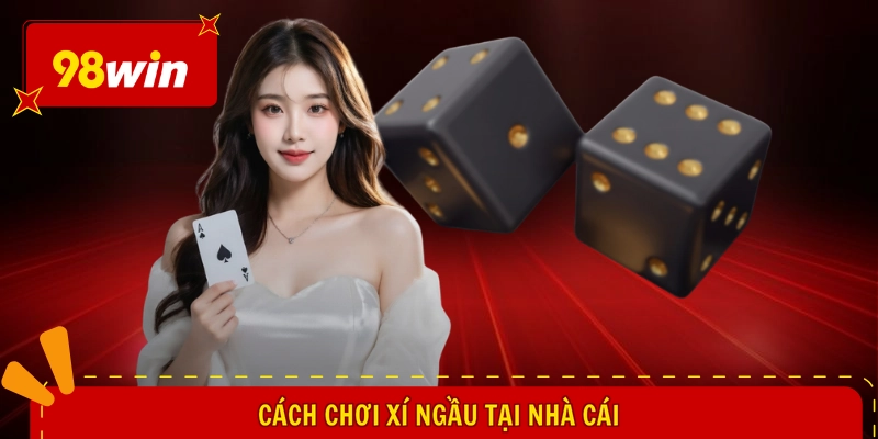 Cách chơi Xí Ngầu tại nhà cái