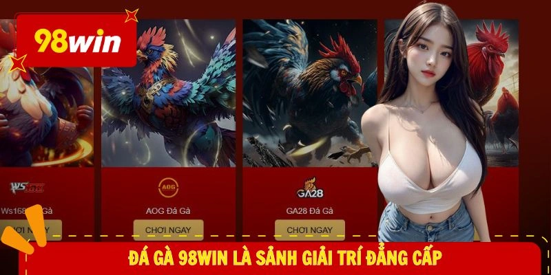 Đá Gà 98WIN 1 Đá gà 98WIN là sảnh giải trí đẳng cấp