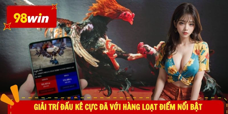 Đá Gà 98WIN 3 Giải trí đấu kê cực đã với hàng loạt điểm nổi bật